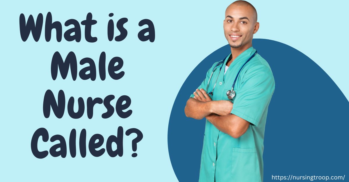 What is a Male Nurse Called