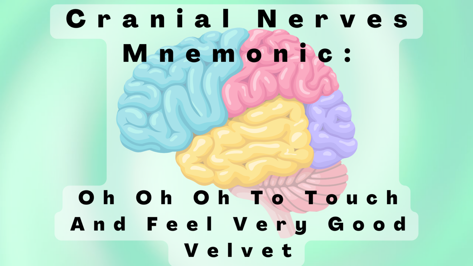 Cranial Nerves Mnemonic Oh Oh Oh To Touch And Feel Very Good Velvet