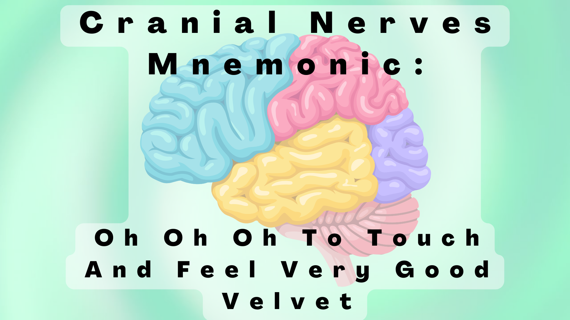 Cranial Nerves Mnemonic: