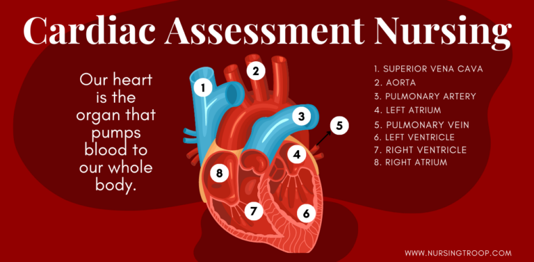 cardiovascular assessment nursing