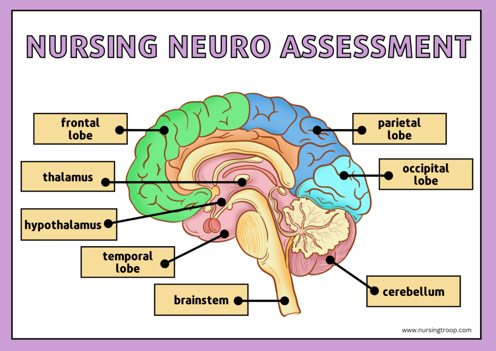 Nursing Neurological Assessment Checklist With Examples Nursingtroop