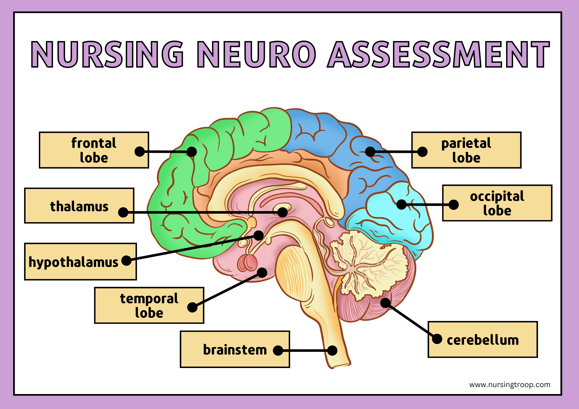 Nursing Neuro Assessment