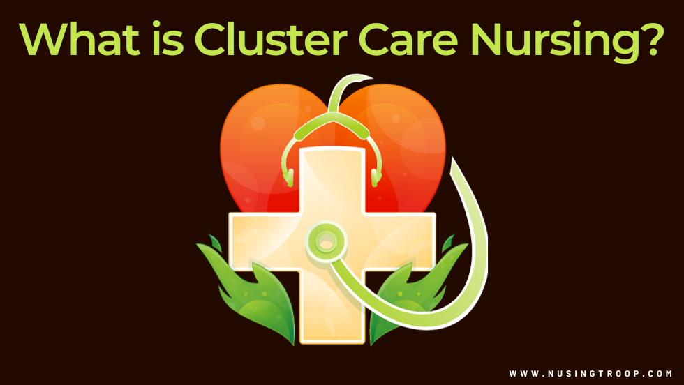 What is Cluster Care Nursing?