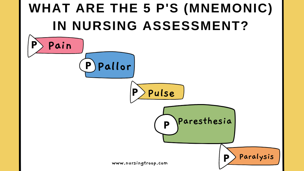 What are the 5 P's (Mnemonic) in Nursing Assessment?