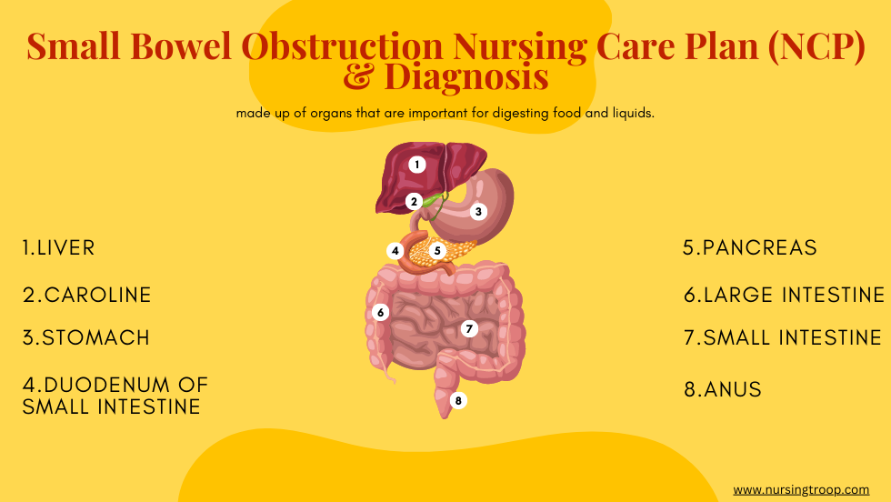 Small Bowel Obstruction Nursing Care Plan (NCP) & Diagnosis