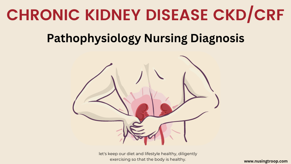 Chronic Kidney Disease CKD/CRF Pathophysiology Nursing Diagnosis